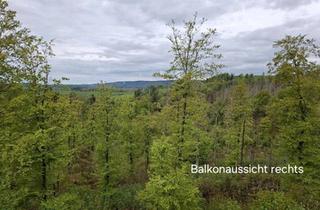 Wohnung kaufen in 37444 St. Andreasberg, Braunlage - St. Andreasberg EigentumFerienwohnung im Ferienparadies Harz