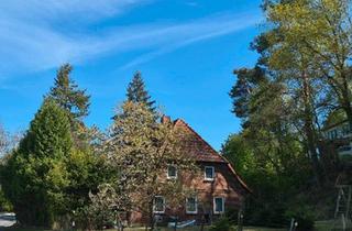 Haus kaufen in 29490 Neu Darchau, Neu Darchau - Zweifamilienhaus auf Naturgrundstück mit Elbblick nahe Hamburg