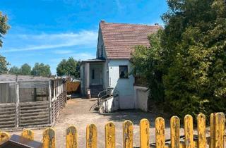 Einfamilienhaus kaufen in 04758 Oschatz, Oschatz - Einfamilienhaus zum Kauf Bei Interesse unter 015233751281 melden!