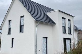 Einfamilienhaus kaufen in 38302 Wolfenbüttel, Wolfenbüttel - EFH Einfamilienhaus