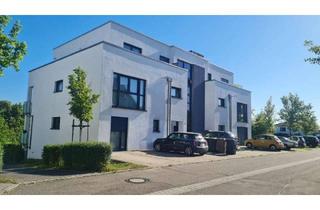 Penthouse mieten in 76479 Steinmauern, Neubau 2 Zi. Penthouse Wohnung in Steinmauern ab 01.07.26 zu vermieten