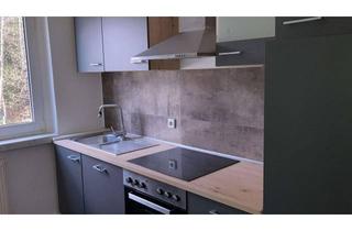 Wohnung mieten in 38877 Benneckenstein, 4-Raum Wohnung renoviert