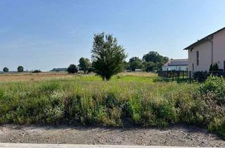 Grundstück zu kaufen in Birkenweg 18, 03058 Neuhausen, Grundstück zum Kauf, provisionsfrei
