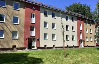 Wohnung mieten in Silberbornstr. 29 A, 34134 Niederzwehren, Wohn (t) raum für eine Familie - 4-Zimmer-Wohnung im Quartier Silberborn