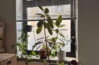 Wohnung mieten in 44143 Dortmund, Charmante Altbauwohnung in Erdgeschoß