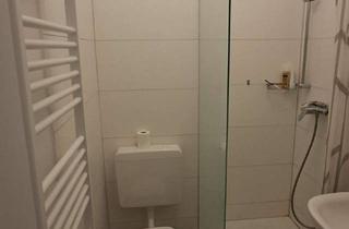 Wohnung mieten in 44145 Dortmund, Renovierte 2-Zimmerwohnung mit neuem Bad