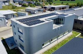 Büro zu mieten in 78247 Hilzingen, Beeindruckende Gewerbeimmobilie! Moderne Neubau Halle mit Büros ab SOFORT zu vermieten.