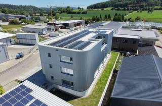 Gewerbeimmobilie mieten in 78247 Hilzingen, Beeindruckende Gewerbeimmobilie! Moderne Neubau Halle ab SOFORT zu vermieten.