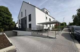 Wohnung mieten in Ubierstraße 17, 65719 Hofheim am Taunus, Nachmieter für 2-Zimmer-Wohnung in Hofheim am Taunus gesucht