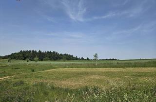 Grundstück zu kaufen in Kanalstr. 27, 75245 Neulingen, Bauplatz 636 m² für Ihr Traumhaus