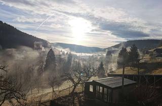 Wohnung mieten in Erlenbühl, 72270 Baiersbronn, Helle 3-Zimmer-Wohnung in Baiersbronn mit Aussicht
