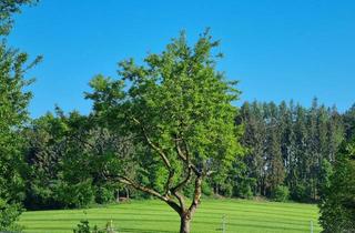 Wohnung mieten in 89296 Osterberg, Grüne Aussicht und Garten - Wohlfühlwohnung am Ortsrand