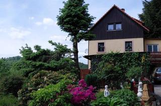 Grundstück zu kaufen in 01844 Neustadt, Einzigartiges Immobilien-Ensemble