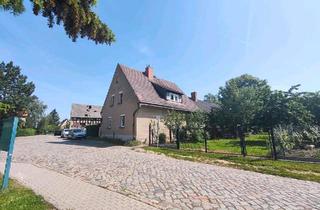 Einfamilienhaus kaufen in 06729 Elsteraue, Elsteraue - Einfamilienhaus mit 2500qm Grundstück in Elsteraue zu verkaufen