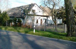 Doppelhaushälfte kaufen in 04924 Bad Liebenwerda, Bad Liebenwerda - 2 Haushälften,einzeln oder komplett, am Stadtrand Bad Liebenwerda