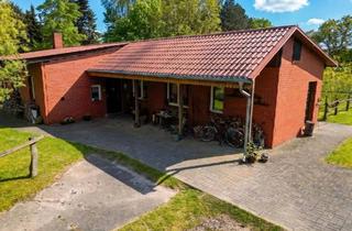 Einfamilienhaus kaufen in 19374 Domsühl, Domsühl - Ein Zuhause für Mensch und Pferd - Ruhe, Natur und Lebensqualität