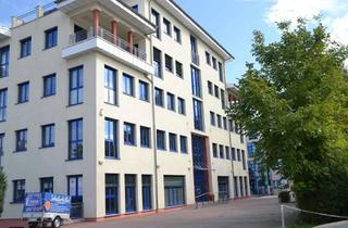 Wohnung mieten in Schulstraße 43a, 65795 Hattersheim, Großzügige, teilmöblierte 3-Zimmerwohnung im Souterrain - WG geeignet