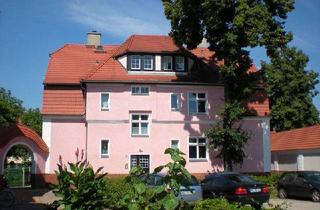 Wohnung mieten in Franz-Mehring-Straße, 01968 Senftenberg, Gemütlich wohnen, zentral leben – gepflegte 2‑Zimmer‑Wohnung mit Charme
