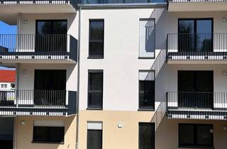 Penthouse mieten in Siegfried-Heinrich-Straße, 01904 Neukirch, Einmalige 4 Raum Penthouse-Wohnung m. gigantischer Terrasse