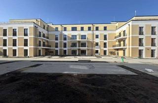 Wohnung mieten in Friedrichstraße 60, 01067 Friedrichstadt, **Erstbezug** 2-Raum-Wohnung mit großer Dachterrasse in Dresden-Friedrichstadt