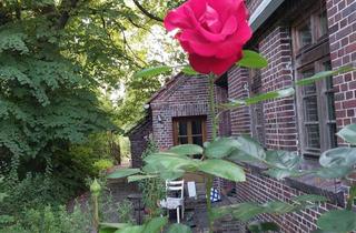 Wohnung mieten in 26409 Wittmund, Wohnung im Resthof in Wittmund