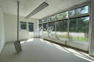 Geschäftslokal mieten in Meißener Dorfstraße 35, 32423 Minden, Gewerbehalle mit Bürofläche in Minden –sofort verfügbar/optimale Erreichbarkeit (Kreuz B428/B65)