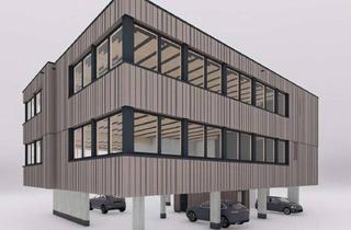 Büro zu mieten in Robert-Bosch-Straße 10, 89250 Senden, Moderne Büroflächen im Neubau – flexibel teilbar – 89250 Senden - Büro