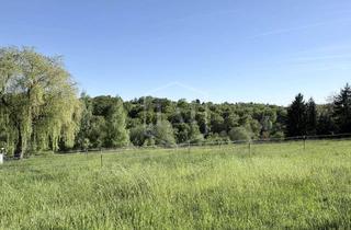Immobilie kaufen in 42651 Solingen-Mitte, Grünlandparzelle in Solingen