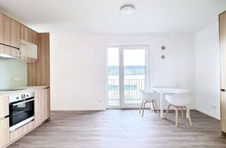 Penthouse mieten in Rosensteinstraße 33, 70191 Nord, Penthouse-Feeling: 1,5-Zimmer-Appartment mit Dachterasse