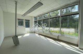Büro zu mieten in 32423 Minden, Gewerbehalle mit Bürofläche in Minden -sofort verfügbar/optimale Erreichbarkeit (Kreuz B428/B65)
