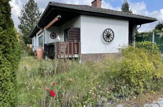 Haus kaufen in 55469 Simmern, Architektenhaus: freistehender, großzügiger, heller Bungalow