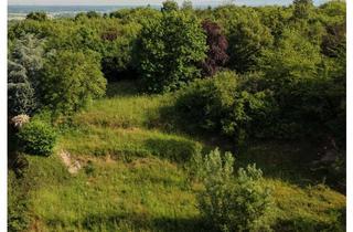 Grundstück zu kaufen in 76646 Bruchsal, Exklusives 1250qm² Baugrundstück in Hanglage von Bruchsal – freier Panoramablick über die Rheinebene