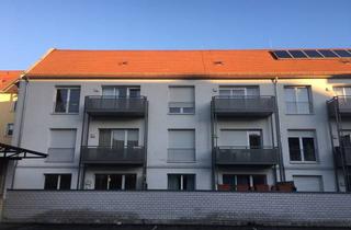 Wohnung mieten in 91054 Erlangen, Helle und großzügige 2 Zimmerwohnung EG - Süd-Terrasse - Einbauküche