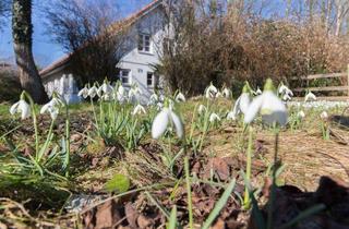 Haus kaufen in 24398 Winnemark, Zweifamilienhaus mit großem Garten in ruhiger Lage