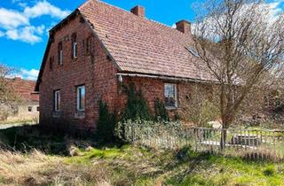 Doppelhaushälfte kaufen in 17089 Burow, Burow - Ein Haus zum Verlieben und Sanieren