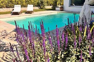 Einfamilienhaus kaufen in 53919 Weilerswist, Weilerswist - Komplett sanierter Bungalow mit Pool - Provisionsfrei