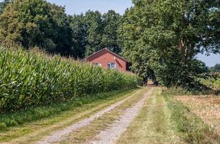 Haus kaufen in 49762 Lathen, Lathen - Großes Gartengrundstück mit Wohnhaus, Nebengebäuden u. Ackerland