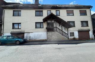 Mehrfamilienhaus kaufen in 96523 Steinach, Steinach - Familien haus