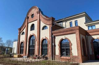 Lofts mieten in 01217 Kleinpestitz/Mockritz, * modern und exklusiv ausgestattete Wohnung mit Loftcharakter *