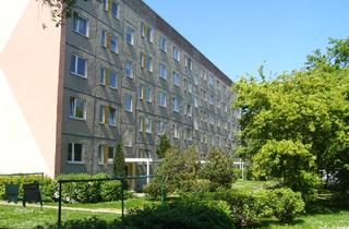 Wohnung mieten in Kohlgartenstr., 38855 Wernigerode, 3 Raum Wohnung für Familien und Paare / Wernigerode - Stadtfeld