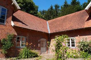 Wohnung mieten in Am See, 23827 Wensin, Schöne 97qm große 4-Raum Wohnung mit Terrasse, Garten und viel Platz im Grünen