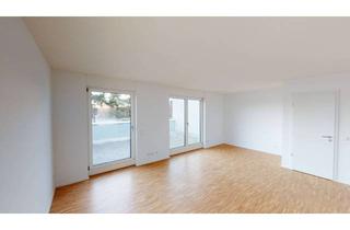 Wohnung mieten in George-Sullivan-Ring 32, 68309 Käfertal, Großzügige 2-Zimmer-Wohnung mit Dachterrassen