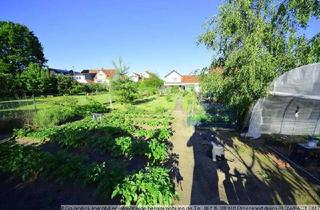 Einfamilienhaus kaufen in Häfnergasse 20, 67105 Schifferstadt, Schifferstadt Einfamilienhaus mit Nebengebäuden 6 ZKB 185 m² Wfl. 1090 m² Grundstück 500.000 EURO