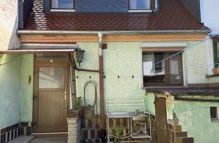 Einfamilienhaus kaufen in 39249 Barby, Barby - gemütliches kleines Einfamilienhaus mit Nebengelass