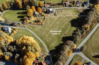 Grundstück zu kaufen in Krügelweg, 95485 Warmensteinach, Sonnengrundstück 13.374m² im Naturpark Fichtelgebirge – Tiny House - Chalet - Ferienhaus - EFH - DHH