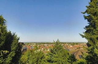 Grundstück zu kaufen in 69198 Schriesheim, Absolute Bestlage Schriesheim: Kernstadt mit unverbaubarem Weitblick in die Ebene