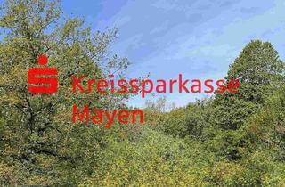 Grundstück zu kaufen in 56727 Mayen, Schönes Baugrundstück (hanglagig) in Waldrand- und Aussichtslage von Mayen