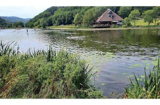 Grundstück zu kaufen in 56745 Rieden, Großes, unbebautes Grundstück Rieden Waldsee Nürburgring