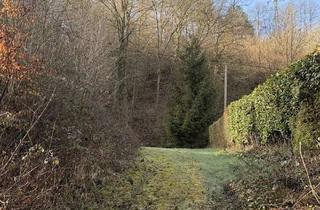 Grundstück zu kaufen in 53547 Leubsdorf, Großes und schön geschnittenes Baugrundstück in Leubsdorf - Bebauung nach Nachbarbebauung