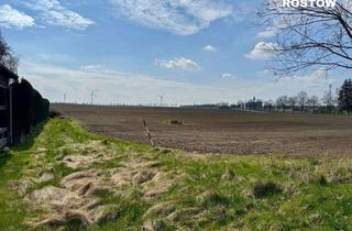 Grundstück zu kaufen in 18196 Dummerstorf, Baugrundstück mit Südausrichtung